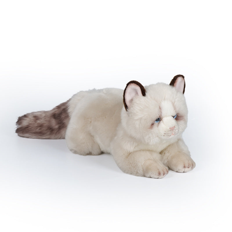 Ultra-soft Cat Amazon Doll