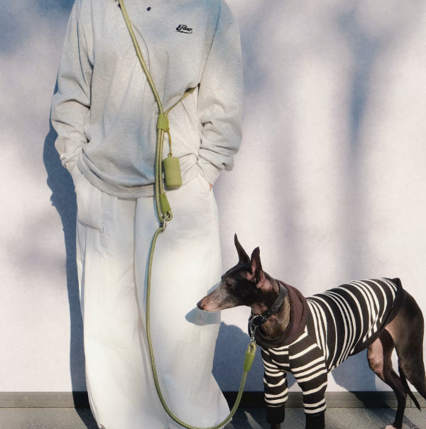 Pet Leash Hands-free Cross-body Waist-worn Multi-fonctionnel