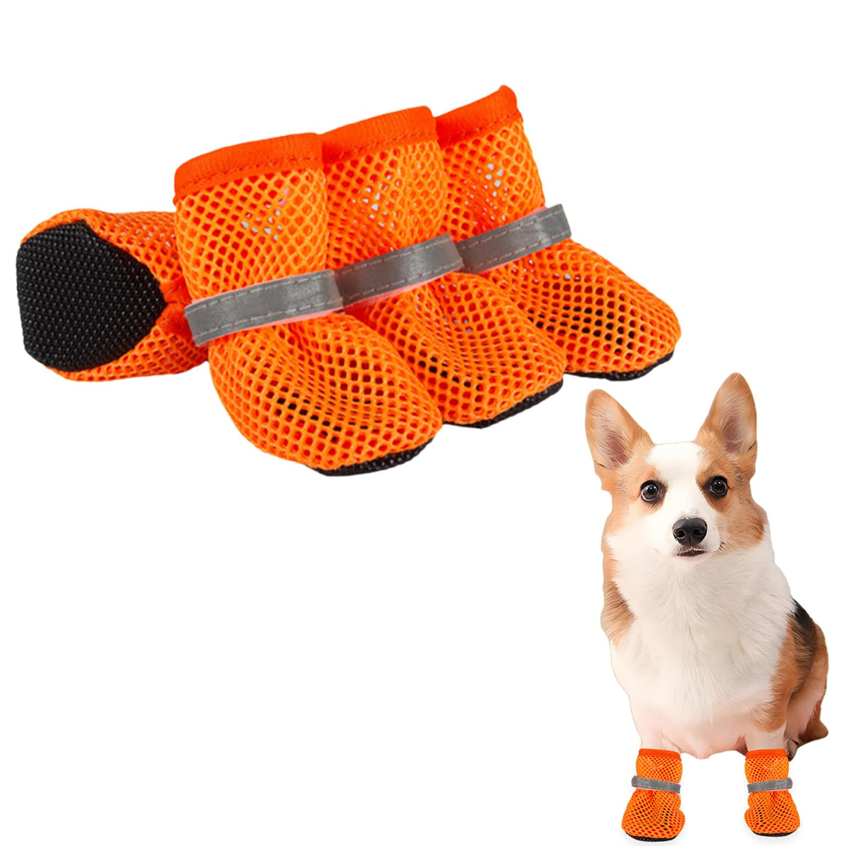 Little Dog Shoes for Pavement