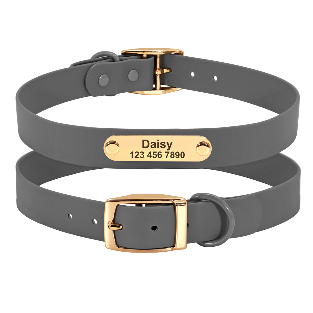 Col laisse chien moyen Teddy