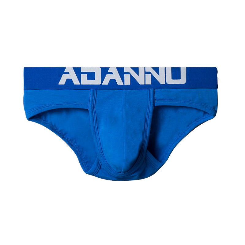 Slip homme Sexy Pure Cotton Confortable Simple Trendy Lettres Basse taille Respirant U Pou