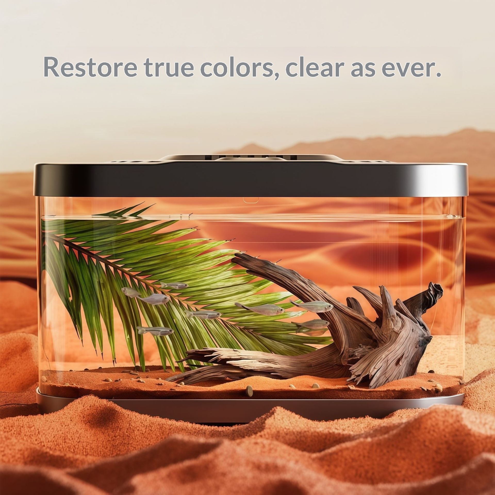 Réservoir en plastique transparent Aquarium Terrarium Décoration Bureau Réservoir ornemental Pet Sup