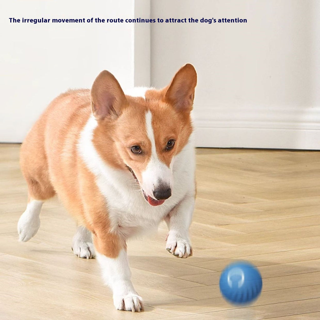 Jouet de chien de charge intelligent gravité