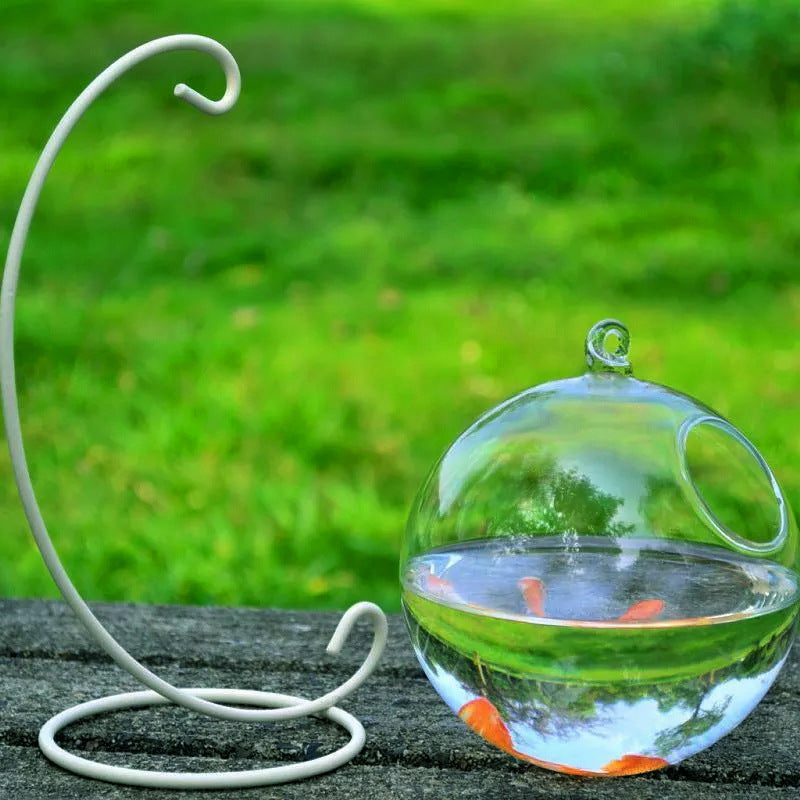 Réservoir de poisson en verre suspendu