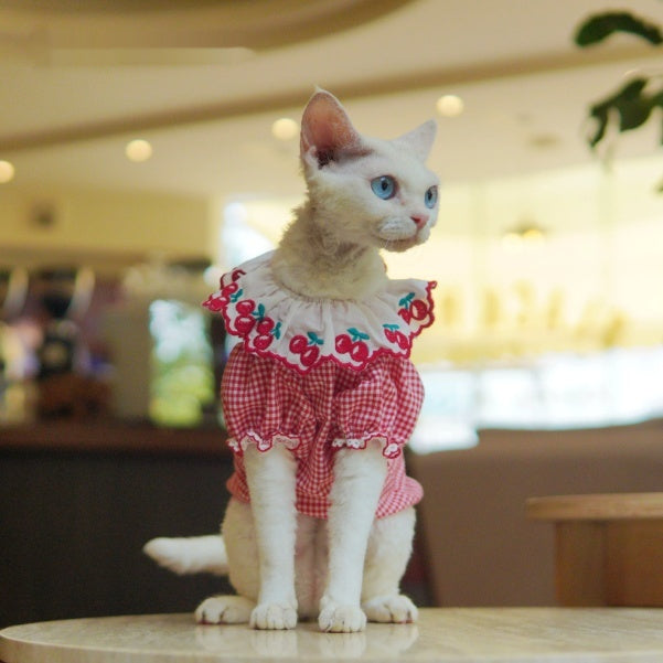 Sphynx Cat Rouge et Blanc Robe de coton d'été avec cerises Collier Dentelle Vêtements légers