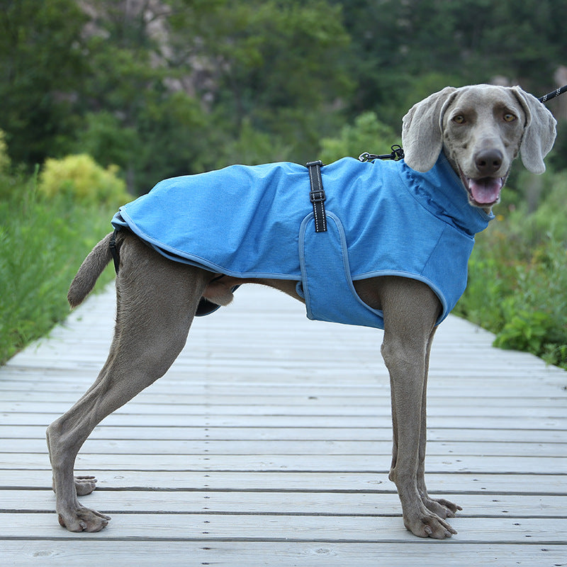 Pet Shell Veste Dog Hiver En plein air Costume de ski