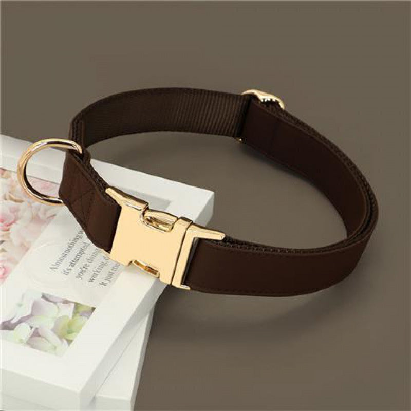 Petit chien Corgi Méthode de lutte contre le collier