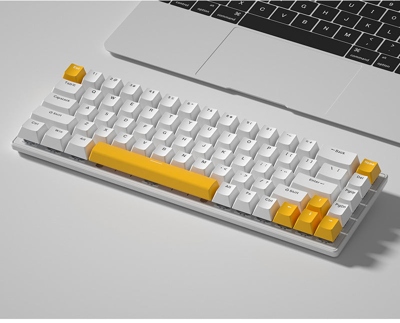 Clavier portatif émettant de la lumière RGB
