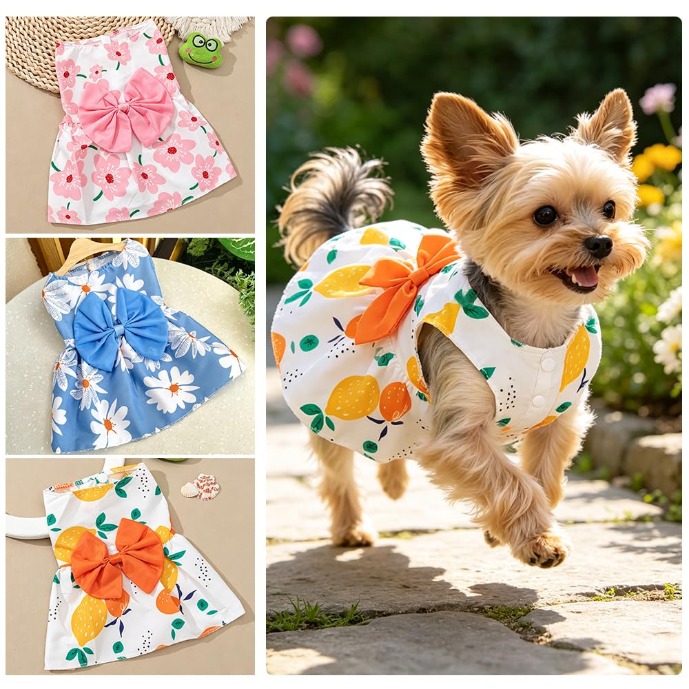 Robe de chien de 3 paquets