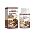 Supplément de vitamine pour animaux de compagnie pour une alimentation nutritive saine comprimés de calcium