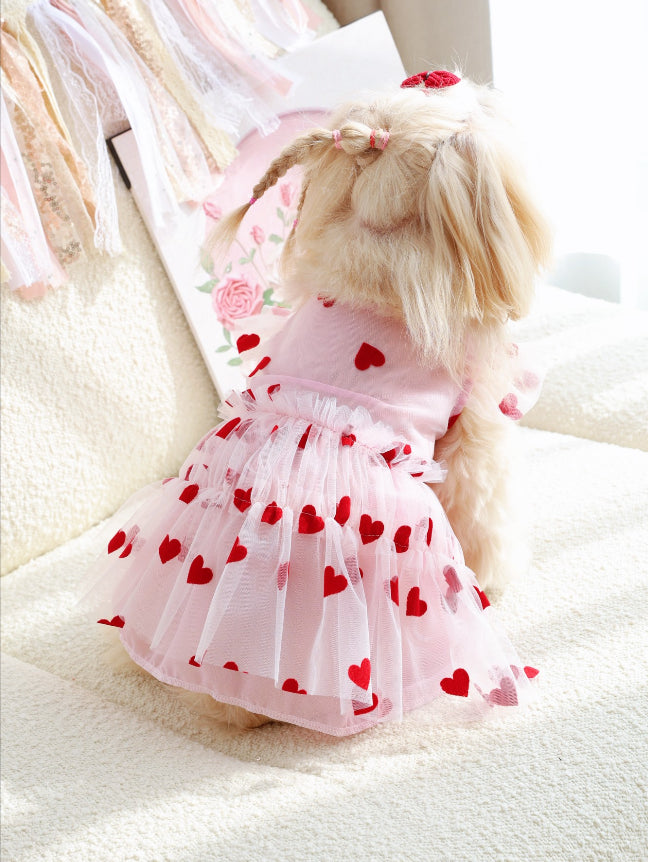 Robe de chien-mesh love-pink-xs-polyester-1 pièce