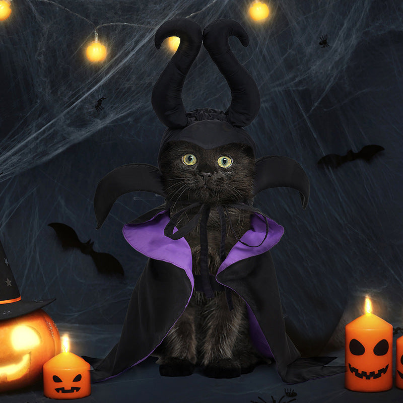 Vêtements de chien d'Halloween et de chapeau