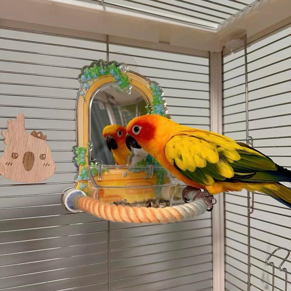 Stand de perche de corde d'oiseau coloré gradué pour les cages d'oiseau Bendable Cage d'escalade Accesso