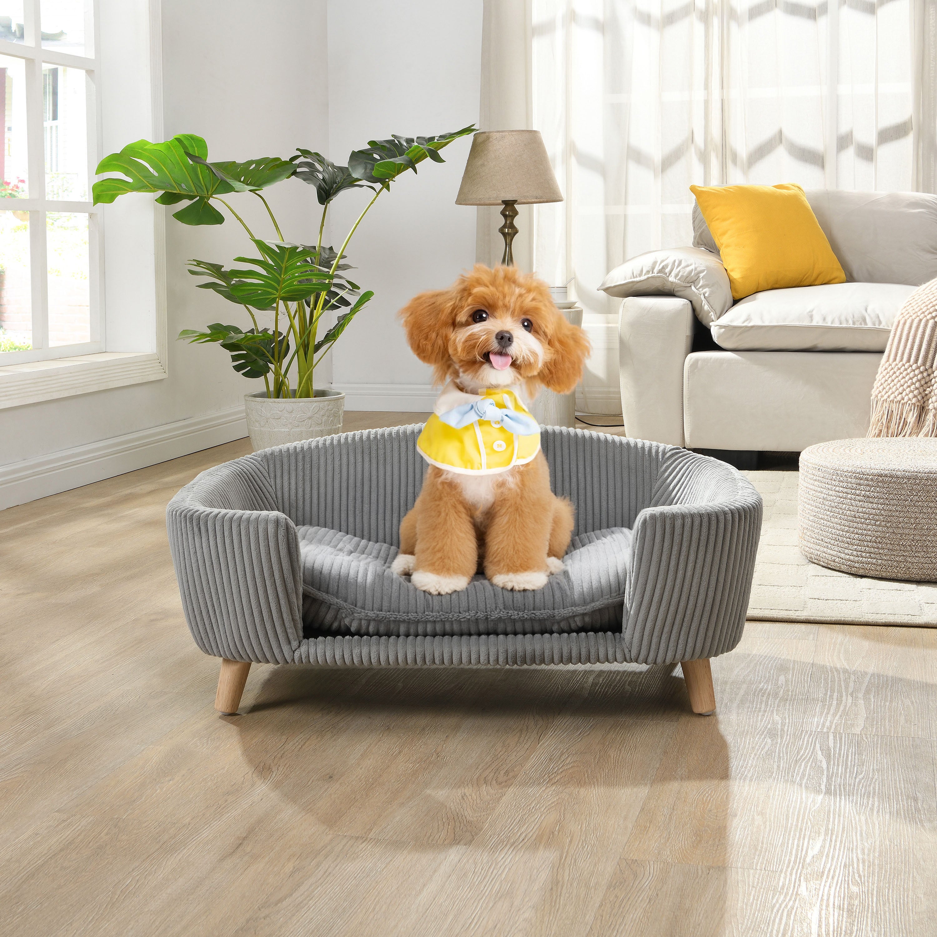Cadre de lit de chien élevé pour petit chien