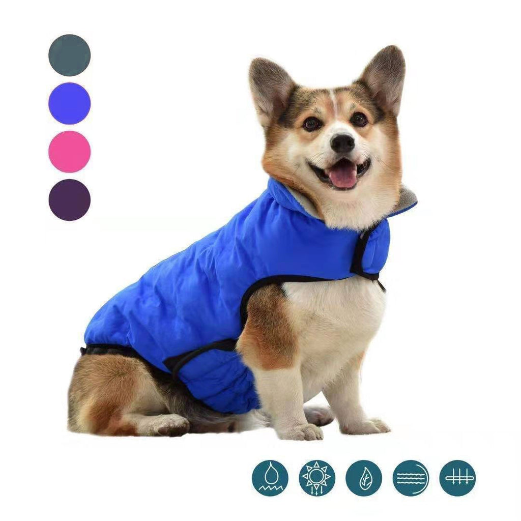 Vêtements de chien d'automne et de coton d'hiver