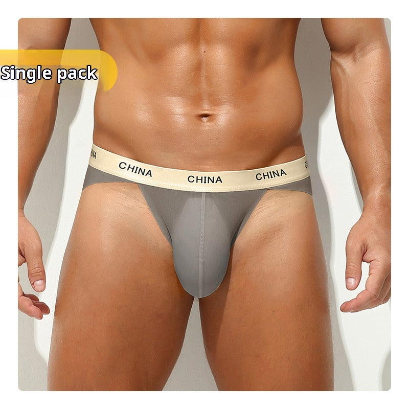 Hommes Ice Silk Sports Antibactériens Slips