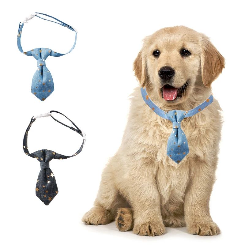 Collier de chien Designer pour petits chiens moyens Long Tie Golden Star Cou de fantaisie porter réglable