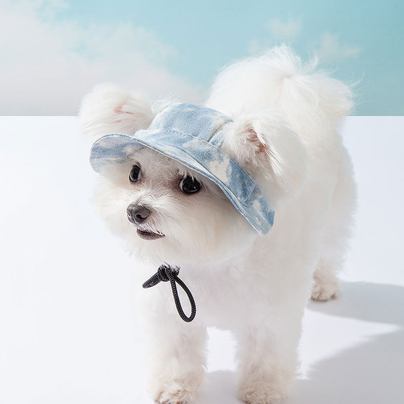 Chapeaux d'animaux avec trous d'oreille Chapeau réglable pour chiens puppy pour petits chiens moyens Pug Mascotas Ac