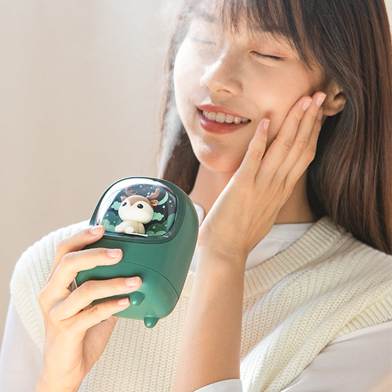 Mini humidificateur portable mignon