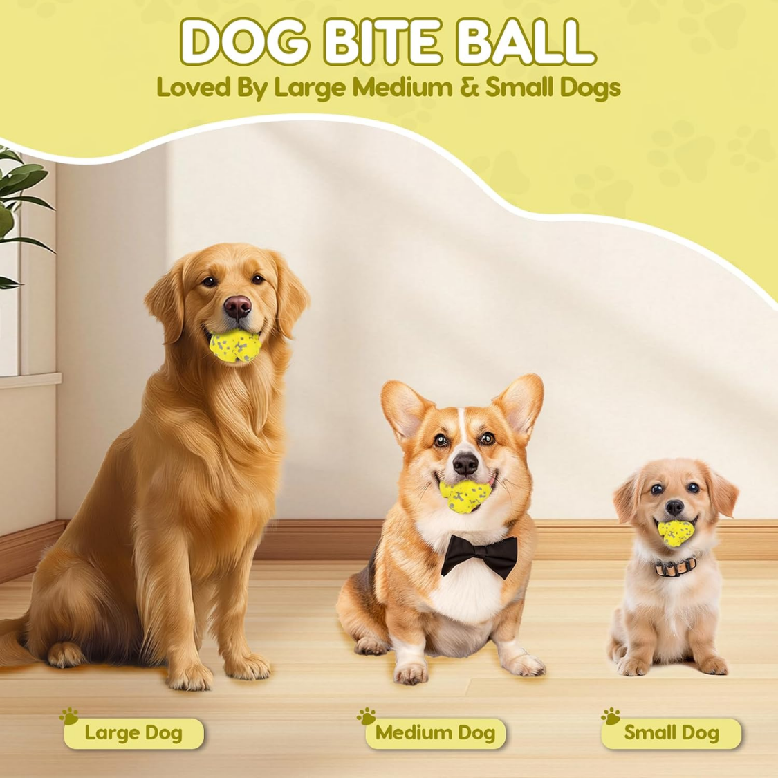 Jouet de boule d'épike pour chien Tough ETPU Balle interactive pour chewers agressifs