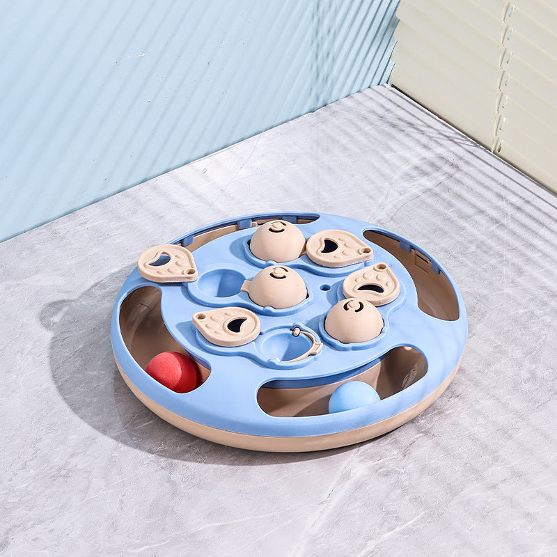 Hide and Dispense Domestic Cat Food