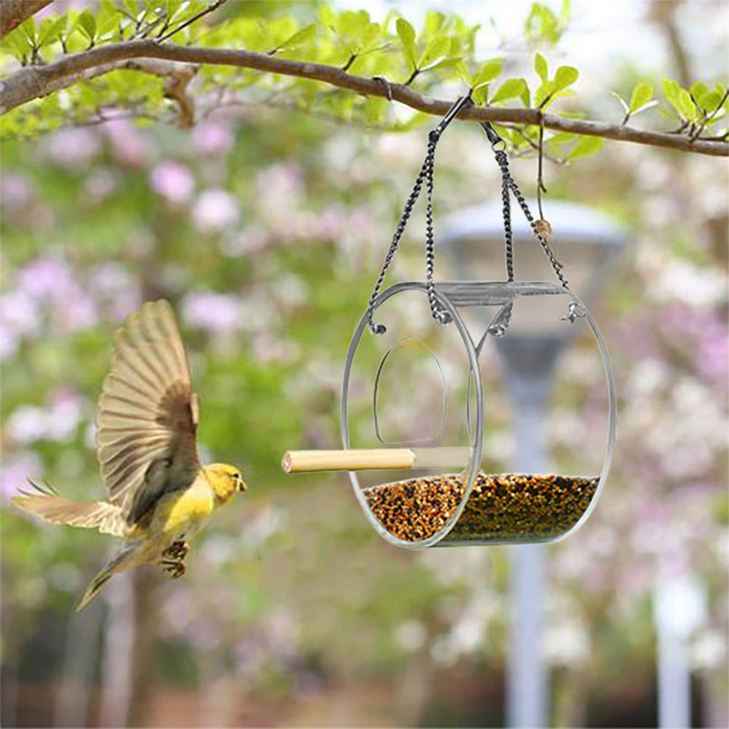 Boîte alimentaire pour oiseaux acryliques