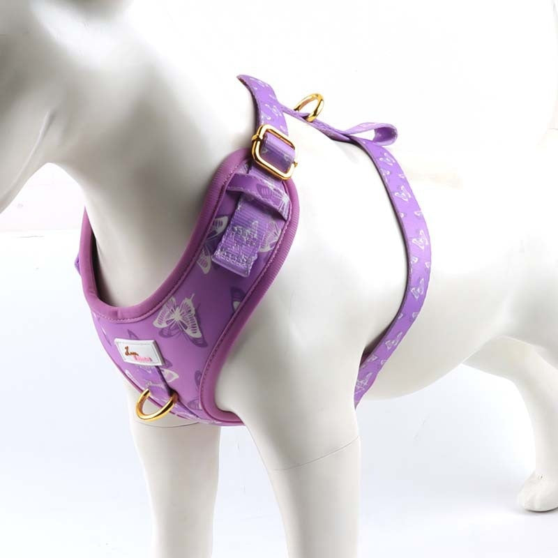 Chien Outfit Pet Extra-large Collier et laisse