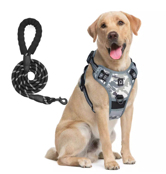 Harnais de chien et combo de laisse avec conception de preuve d'évasion