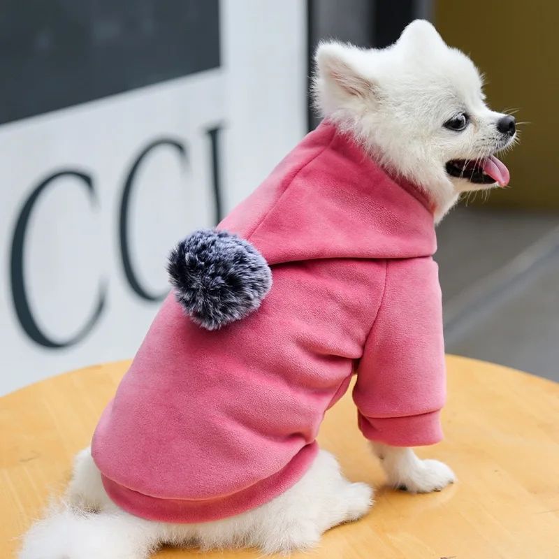 Animaux de compagnie Cat Vêtements Fleece Hairball à capuche Veste Hiver Kitty Petits chiens moyens Chats