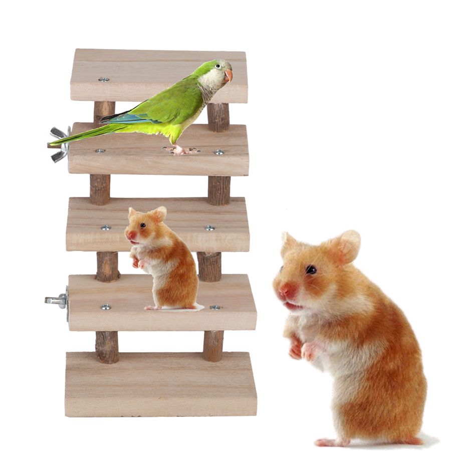 Jouet pour animaux de compagnie