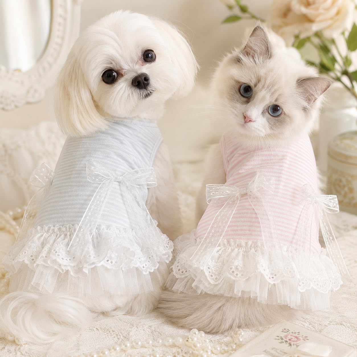 Robe de chien mignon sans manches
