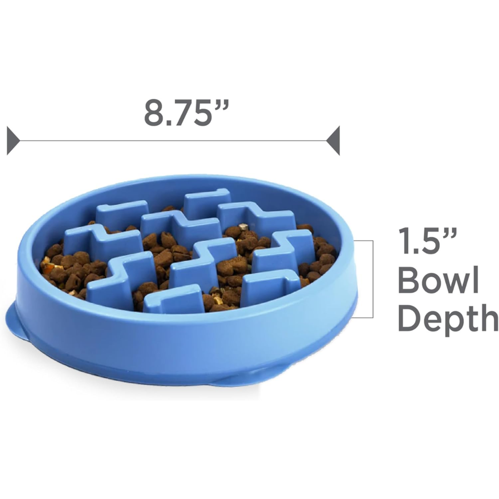 Alimentation Slo Bowl Moyen 2Cup Capacité
