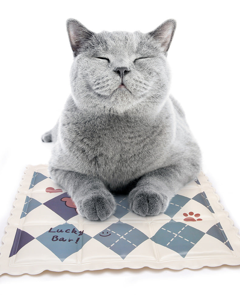Lit de chat pour chat pour l'été