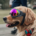 Verres de chien en plastique anti-vent
