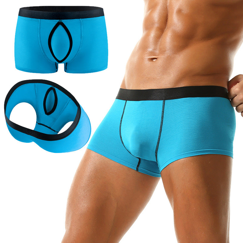 Standard Hommes Sous-vêtements sexy Modal Low-rise