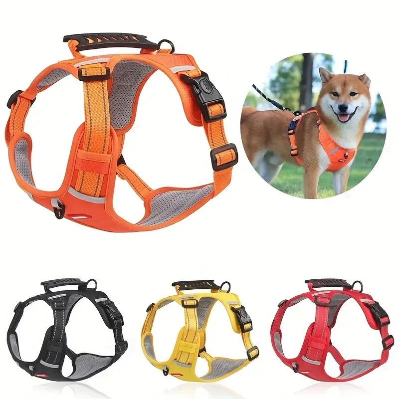 Grande, moyenne et petite corde de traction de poitrine de chien