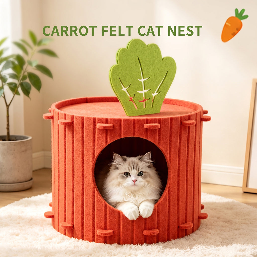 Seule prise de soi---Felt Radish Pet House