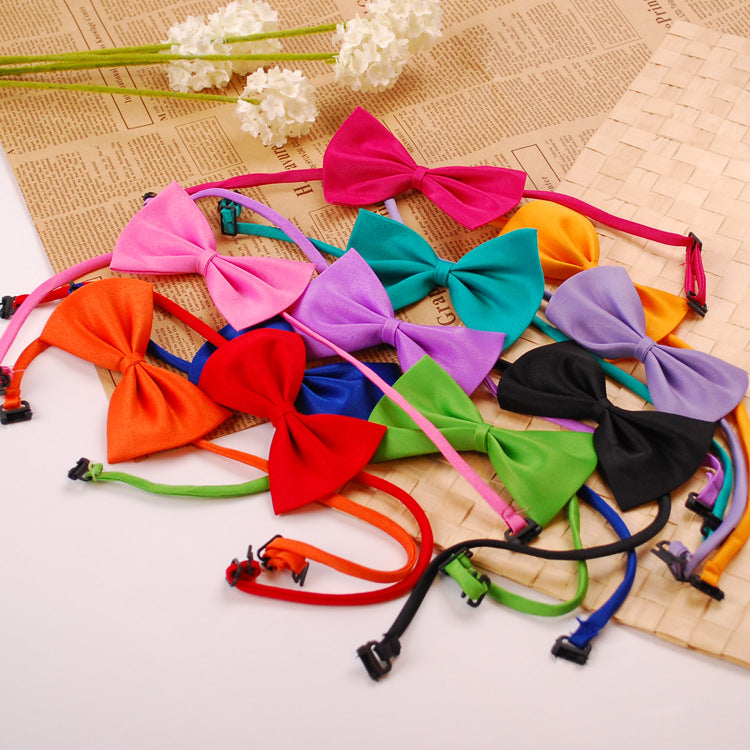 Collier pour animal de compagnie en couleur solide simple