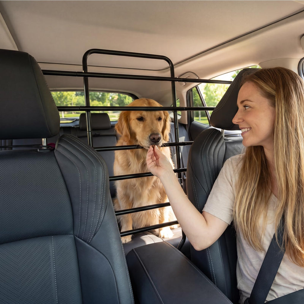 Barrière de voiture de chien