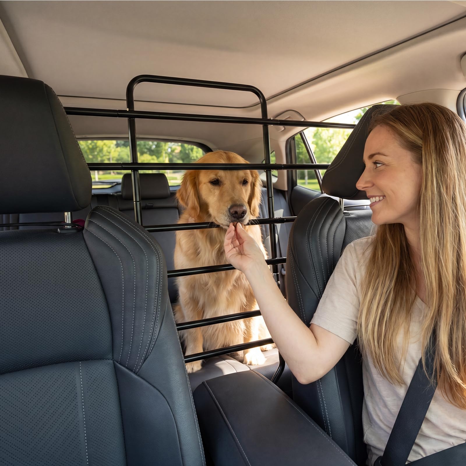 Barrière de voiture de chien