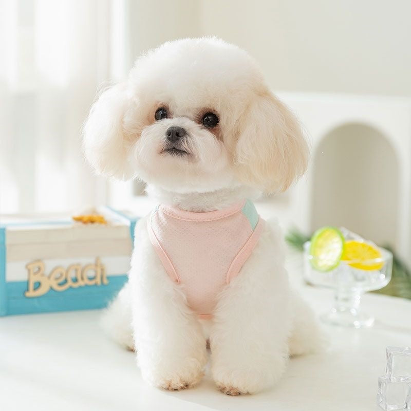Macaron style Papillon modèle Mesh Sun protection soie glacée Harness Vest