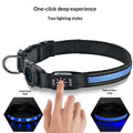 Collier de chien de Glowing imperméable rechargeable
