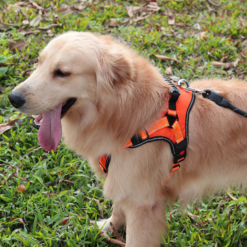 Harnais confortable réglable pour chien pour la marche