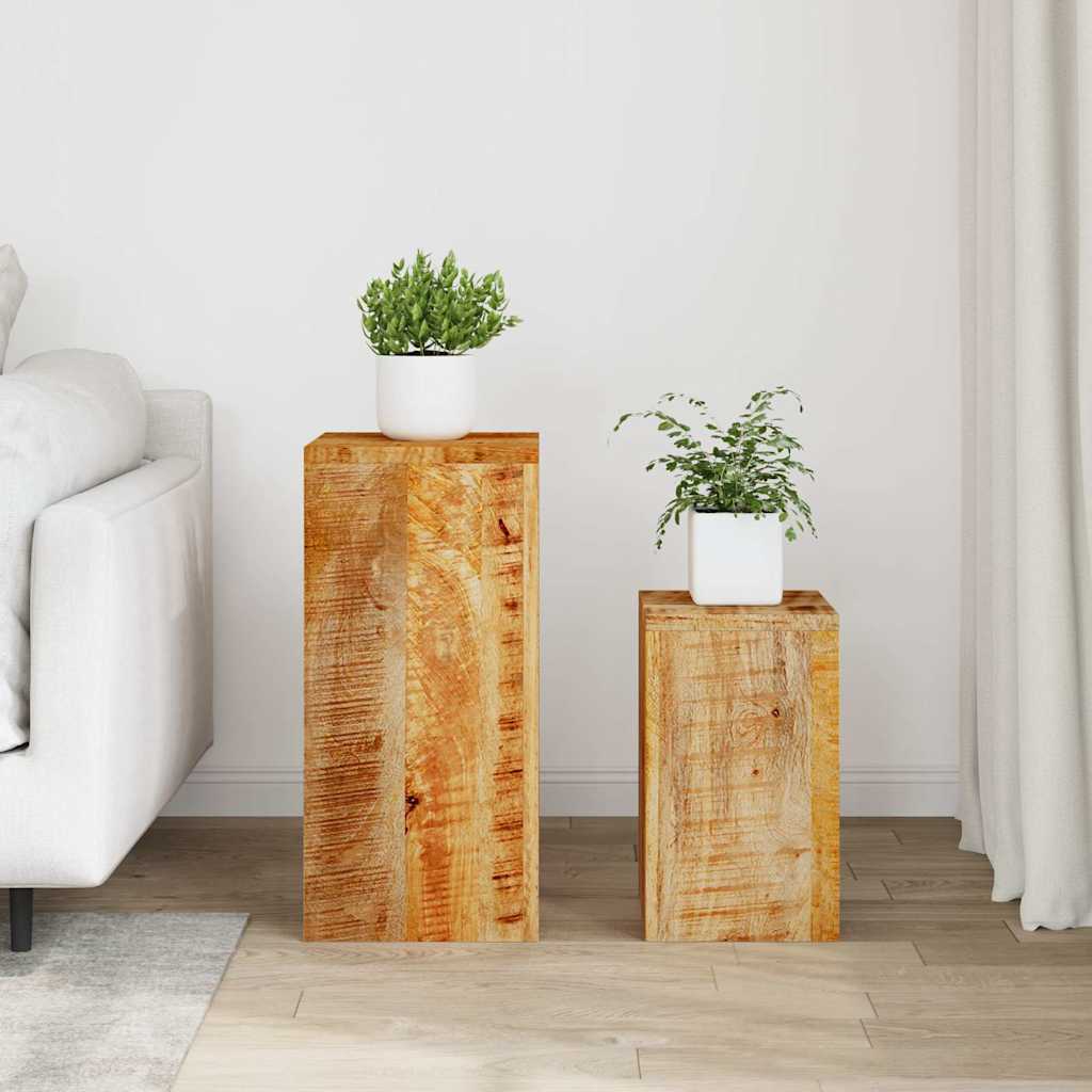 Plant Stand 2 pcs. Bois de mangue solide