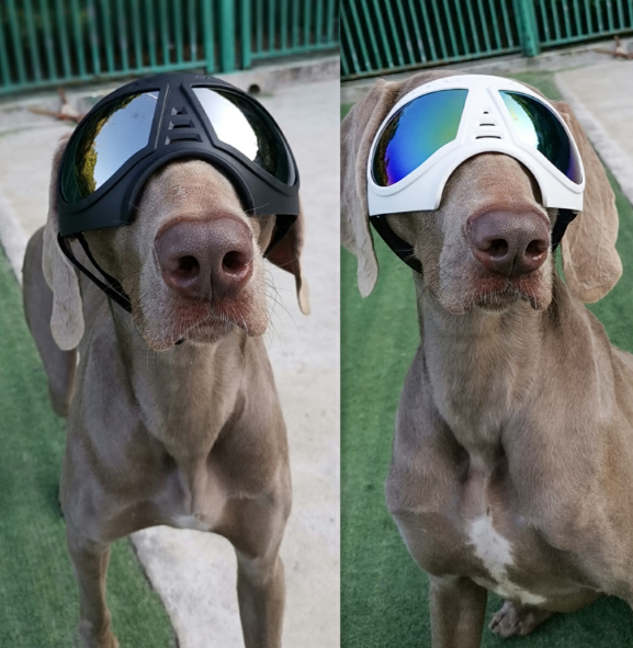 Lunettes de soleil imperméables à la neige pour animaux de compagnie Cadre souple Lunettes de soleil confortables pour allemand