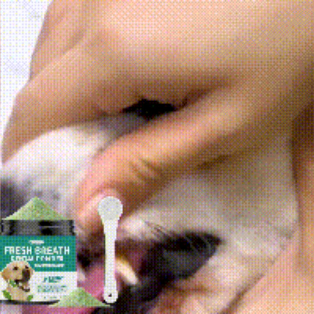 Poudre de nettoyage de dents de chien