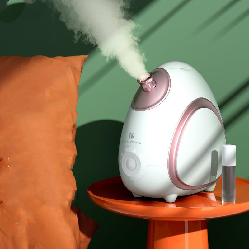 Aromathérapie visage de ménage Steamer froid et chaud