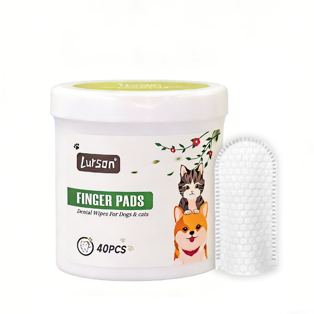 Casquette antibactérienne pour le nettoyage des dents