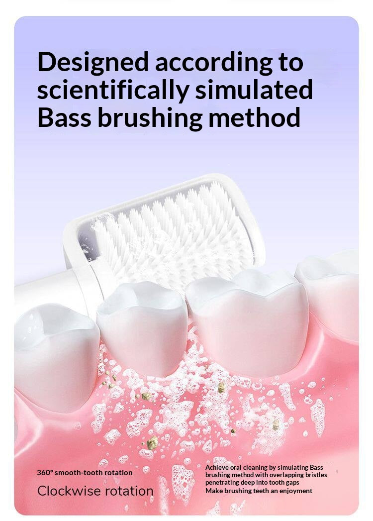Brosse à dents rotative rechargeable pour les hommes et les femmes