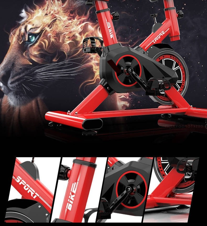 Ménage Silent Spinning vélo exercice vélo cadeau intérieur hommes et femmes exercice pédale Bicy